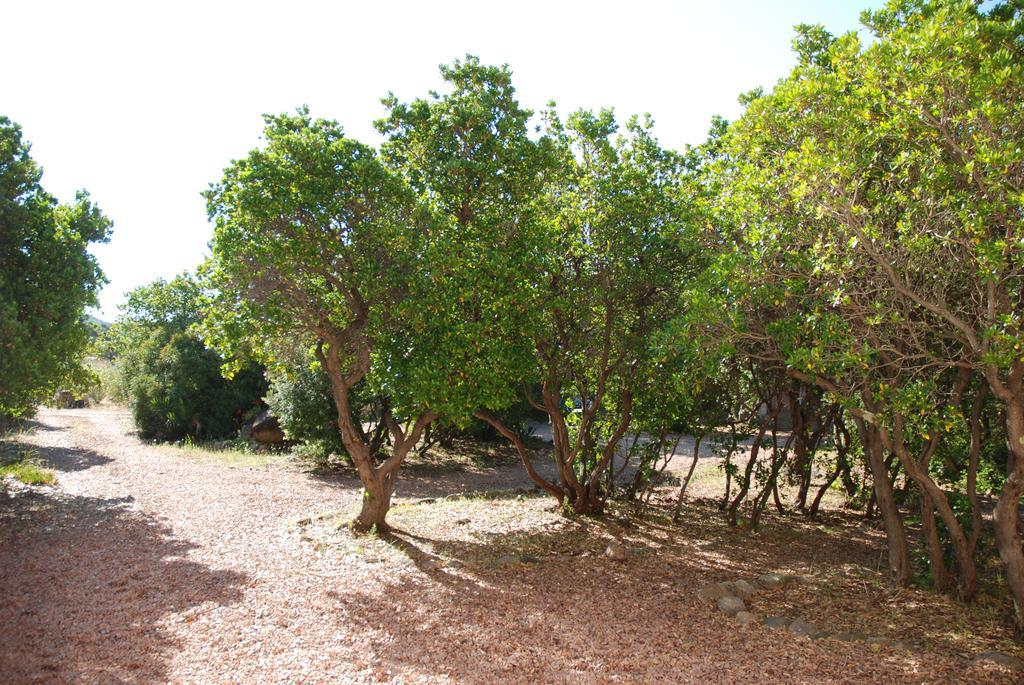 Residence Riviera Porto-Vecchio  Eksteriør bilde